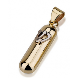 14k Yellow Gold Rounded Mezuzah Pendant with Hebrew Shin in Shiny White Gold  Israeli Jewelry Designers