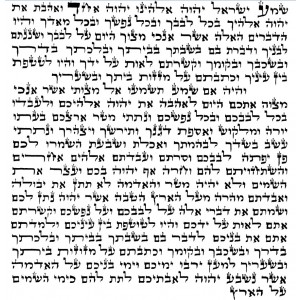 Sephardi Mezuzah Scroll, 15 cm Mezuzah Scrolls/Parchments