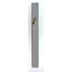 White Aluminum Mezuzah with Removable Panel and Gold Letter Shin by Adi Sidler Mesusas