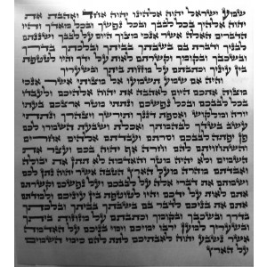 Ashkenazi (Ari) Mezuzah Scroll, 15 cm Mezuzah Scrolls/Parchments