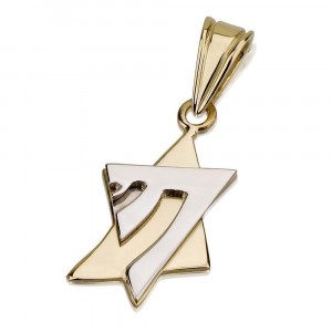 Star of David with Overlying Chai Pendant in 14k Yellow Gold Ketten & Anhänger