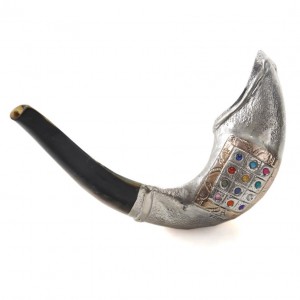 Ram's Horn Polished with Silver Sleeve & Choshen Design by Barsheshet-Ribak Shofares