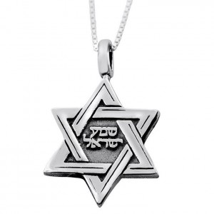 Micro Book of Psalms 925 Sterling Silver Star of David Necklace Star of David Jewelry