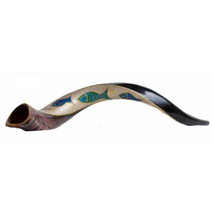Yemenite Half-Polished Horn Shofar with Fish by Barsheshet-Ribak