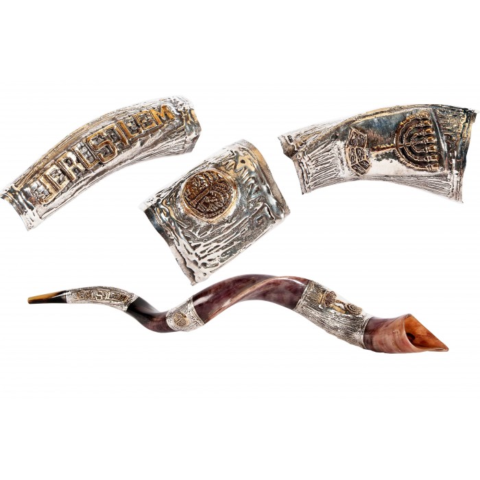 Polished Yemenite Horn Shofar with Silver Sleeves of Jerusalem by Barsheshet-Ribak